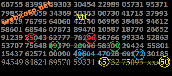 T5.png