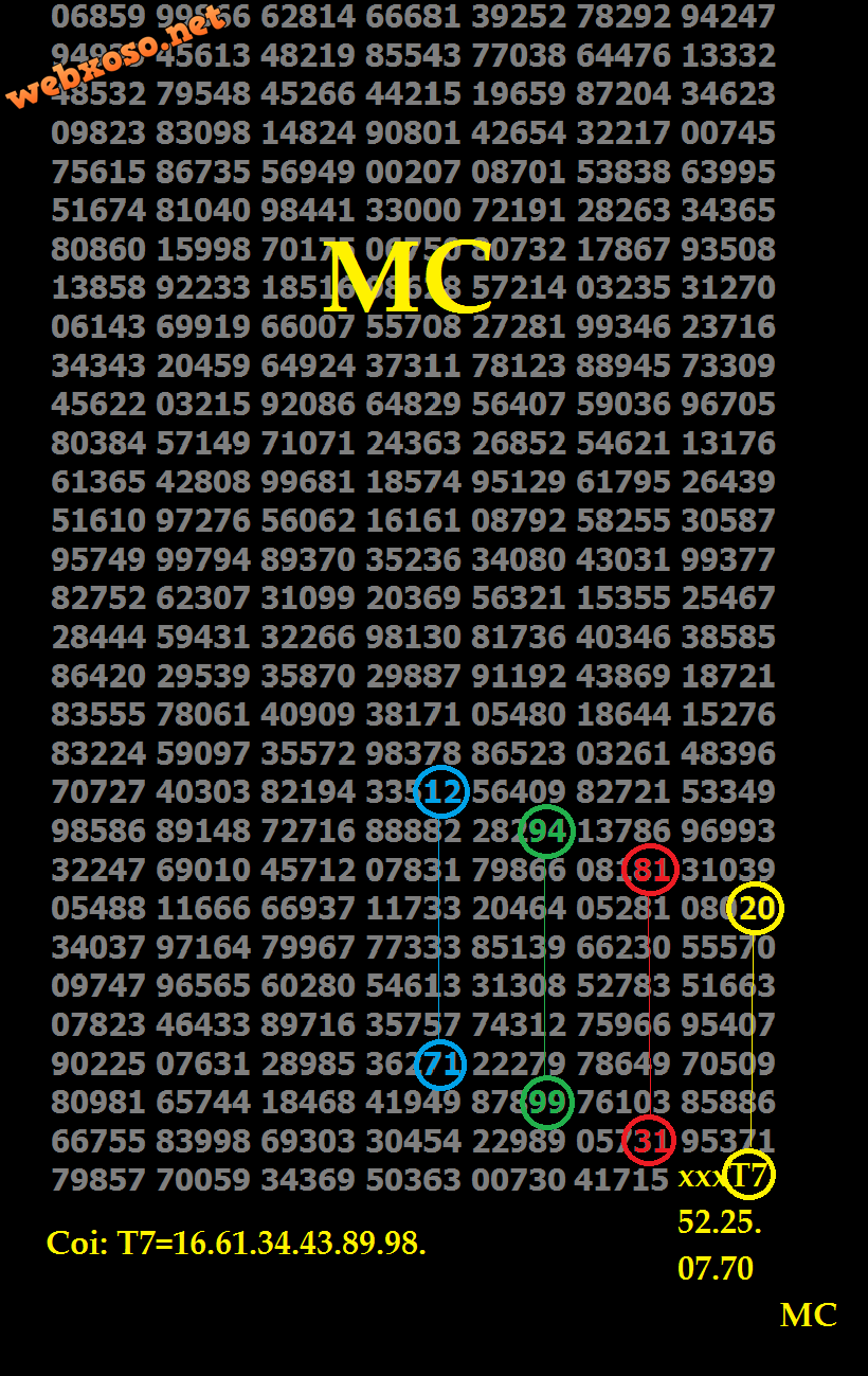 T7 bo 02.png