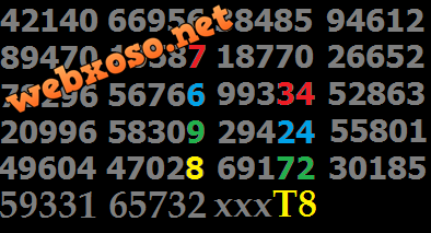 T8.png