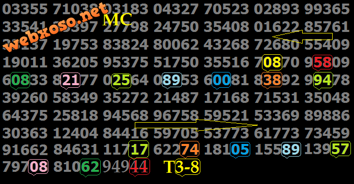 T838.png