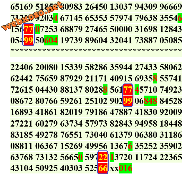 tanngay22.9.2023dau1.png