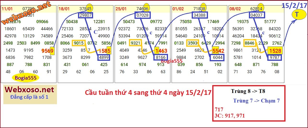 tong15.jpg