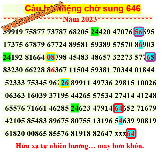 TRINHNGUBO64.png