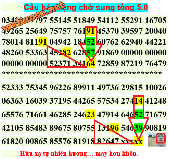trinhtrinh6.5tong5.0.png