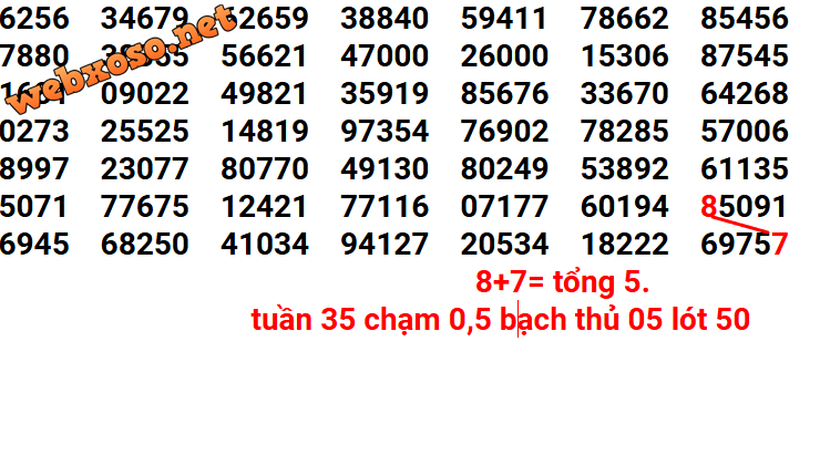 tuần 35.png