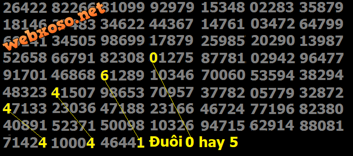 Untitled5.png