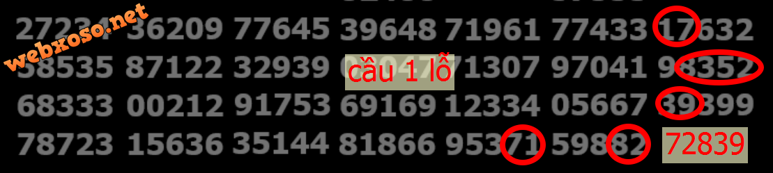 upload_2024-3-24_17-29-57.png