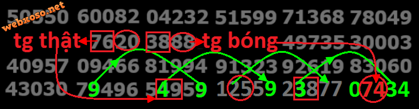 upload_2024-7-20_12-25-53.png