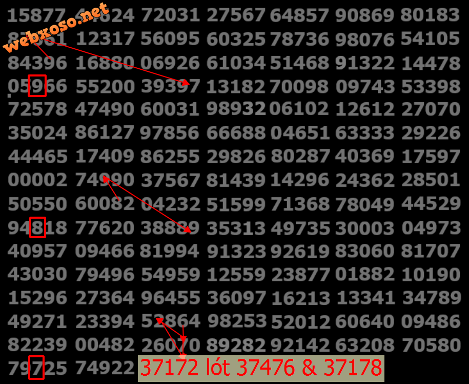 upload_2024-8-13_18-49-41.png