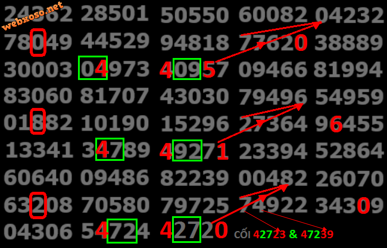 upload_2024-8-18_22-6-9.png