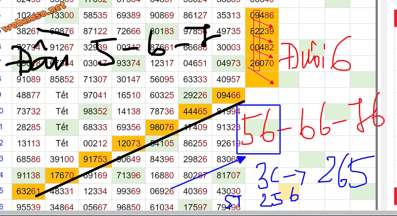upload_2024-8-8_13-42-9.png