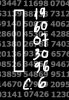 IMG_6166.jpeg
