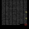 IMG_0986.jpeg