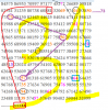 17ch.PNG