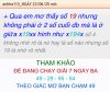IMG_7983.jpeg