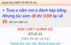 IMG_8028.jpeg