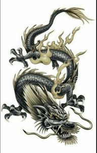 huongtaybac75
