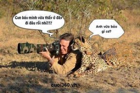 VD_ctbig