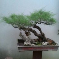quynh0318