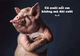 HoangMinh