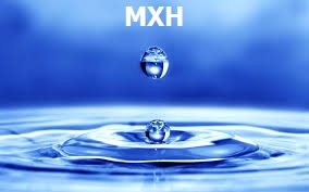 MXH