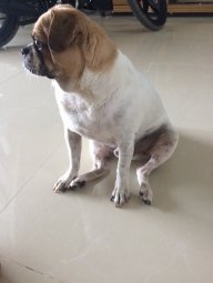 dangnguyenhuu