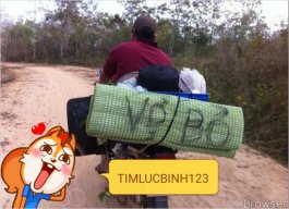 TIMLUCBINH123