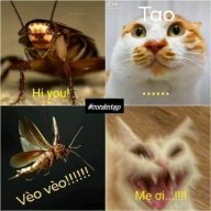 thamkhaoso