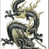 huongtaybac75