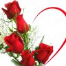 mrcuong157