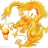 chinhvfg