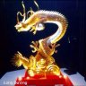 Duonglong