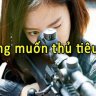 NGUYENHIEP