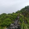 Phuongly94