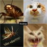 thamkhaoso