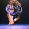 Thanh1986