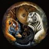 TIGER88