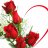 mrcuong157