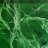 SoiLoxs