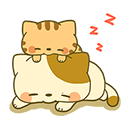 (meoconpokazl09)