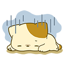 (meoconpokazl17)