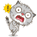 (meomeozl08)